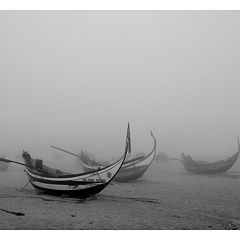 фото "In the fog"