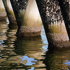 photo "Reflected columns"