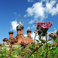 фото "Русское лето"