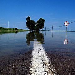 фото "Speed Limit"