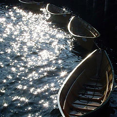 photo "Dories"