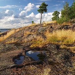 фото "На Выборгских скалах"