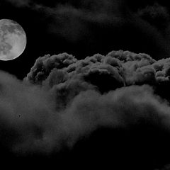 photo "Moon"
