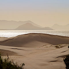 photo "Roncador dune"