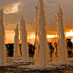 photo "Fountains"