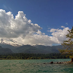 photo "Christmas Tree Island"