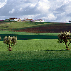 фото "Alentejo landscape"