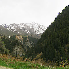 photo "Almaty (2005) - Alatau #2"