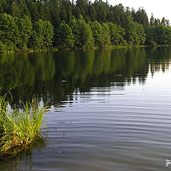 photo "A Lake"