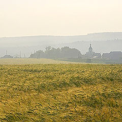 photo "Morning in the field near Nizhnee Selo"