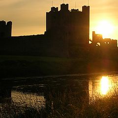 photo "Trim Castle"