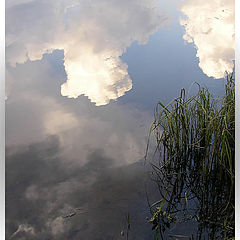 photo "***"