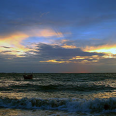 photo "Smell of the sea"