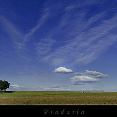 photo "Prairie"