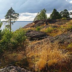 photo "Again on the Vyborg rocks"