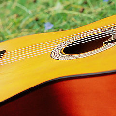 photo "Guitar"