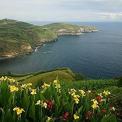 photo ""Ponta da Madrugada" view"