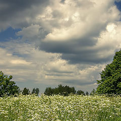 фото "Июльчик."