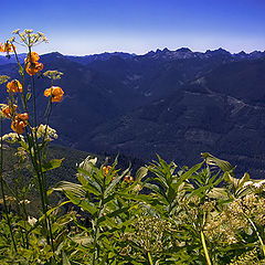 photo "Evergreen Mountain"