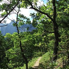 фото "On footpaths of Crimea"