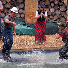photo "Log Roll"