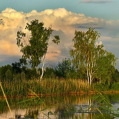 photo "Summer evening"