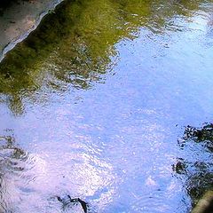 photo "creek bed"