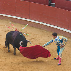 photo "Corrida, part 3"