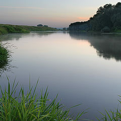 photo "Evening Freshness"