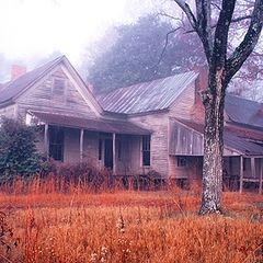 фото "Old Homeplace in fog"