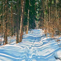 photo "road"