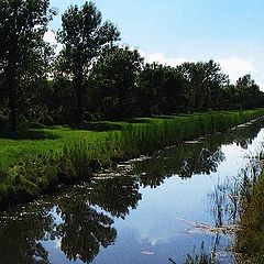 фото "Drainage Ditch"