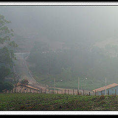 фото "Fog in country"