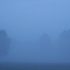 photo "The Fog 2"