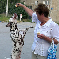 photo "It is hot... I want the ice-cream"