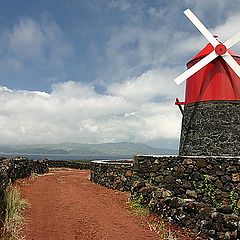 фото "Wind mill"