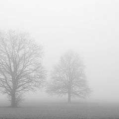 photo "Fog"