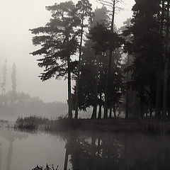 photo "Lake"