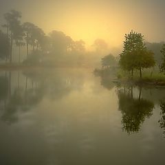 фото "Early, Foggy New Day"