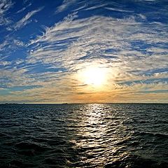 фото "Summer evening view to the North Sea"