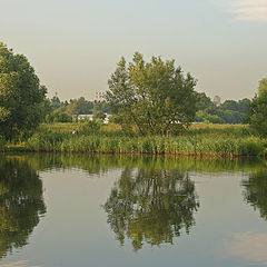 photo "Geometry of the nature"