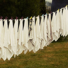 photo "Drying"