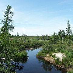 photo "Tundra stream"