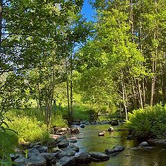 photo "Paints of summer"