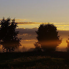 photo "Morning etude with a fog"