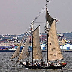 photo "Sail before the wind"