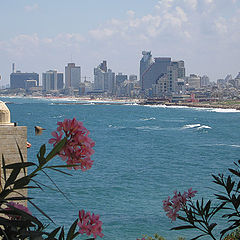 фото "Tel-Aviv from Old Yaffo"