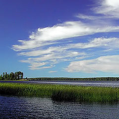 photo "Dark blue distances"