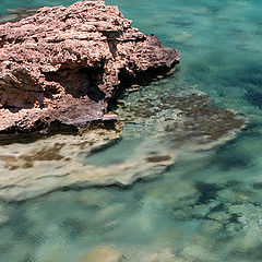 photo "Akamas Cyprus"