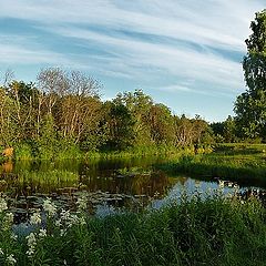 photo "Summer river picture"